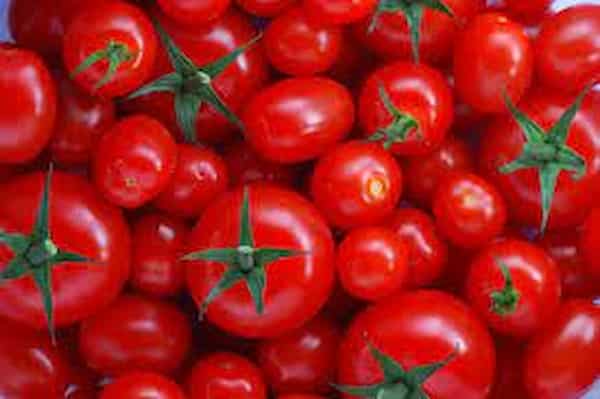 خرید رب گوجه فرنگی طبیعی + قیمت فروش استثنایی